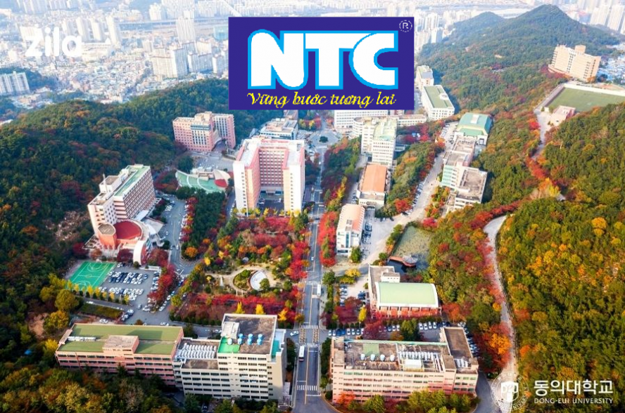 TRƯỜNG ĐẠI HỌC DONG EUI HÀN QUỐC